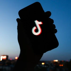 TikTok Followers