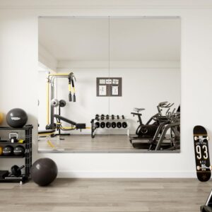 Gym Mirrors