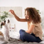 Caring Dog